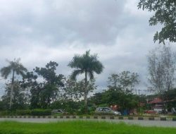 Prakiraan Cuaca di Sulawesi Tenggara: Hujan Ringan Hari Ini, Sebagian Besar Wilayah Sultra Berawan